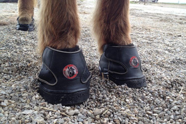 Equine Fusion All Terrain HufschuhTest Professionelle Hufpflege und Hufschuhberatung mit Herz Equine Fusion All Terrain HufschuhTest Professionelle Hufpflege und Hufschuhberatung mit Herz