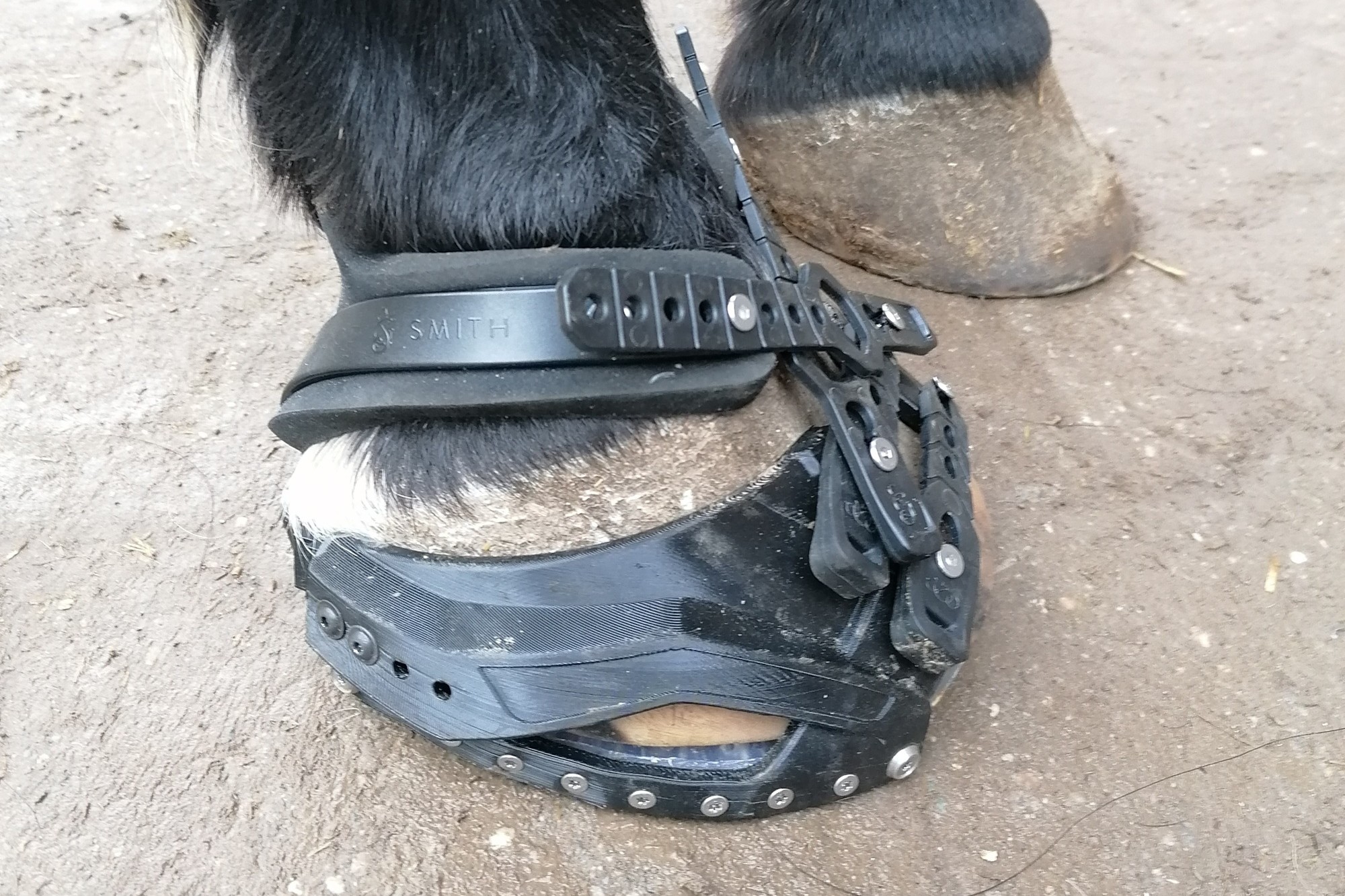 Goodsmith Hufschuh-Vorstellung